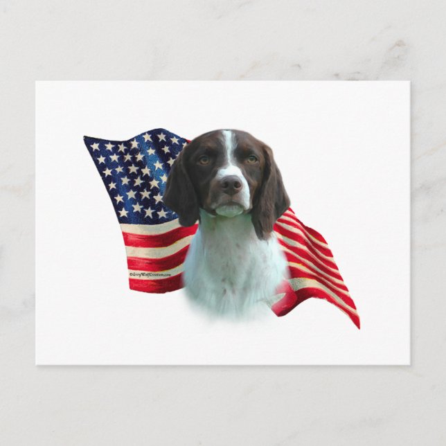 Brittany Spaniel Flag Postcard (Front)