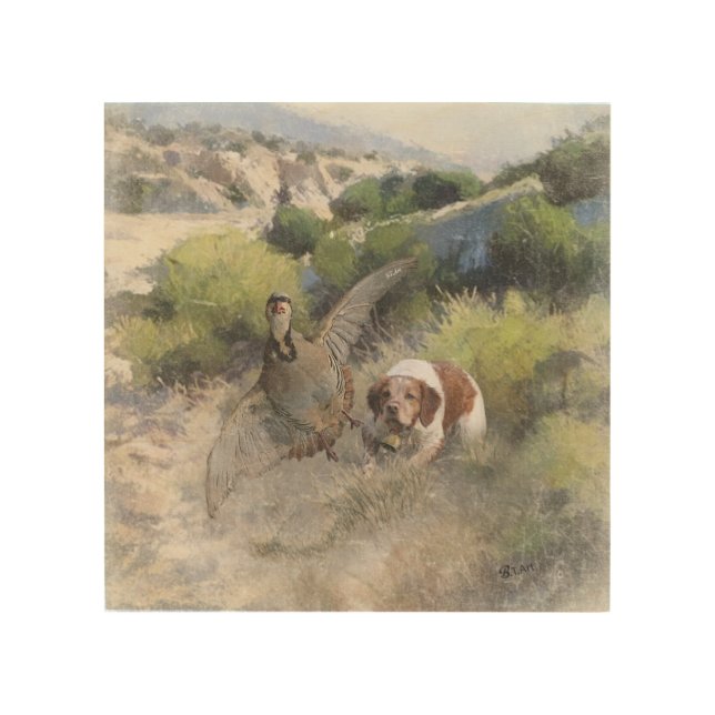 Brittany Spaniel hunting chukar partridge, Art  (Front)