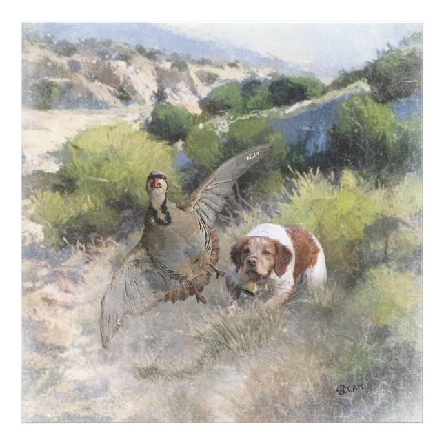Brittany Spaniel hunting chukar partridge, Art  Photo Print (Front)