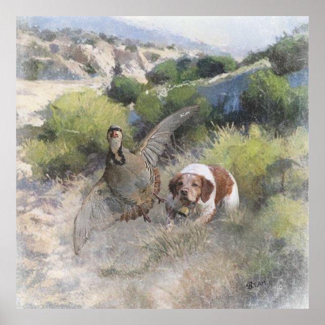 Brittany Spaniel hunting chukar partridge, Art  Poster (Front)