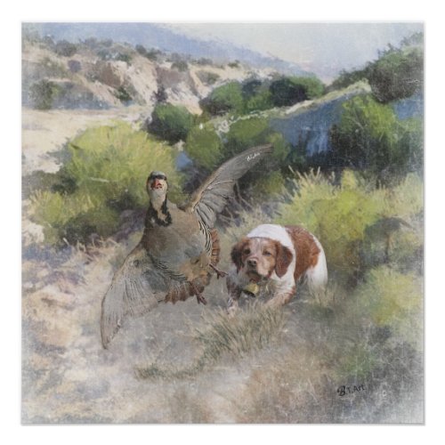Brittany Spaniel hunting chukar partridge Art  Poster
