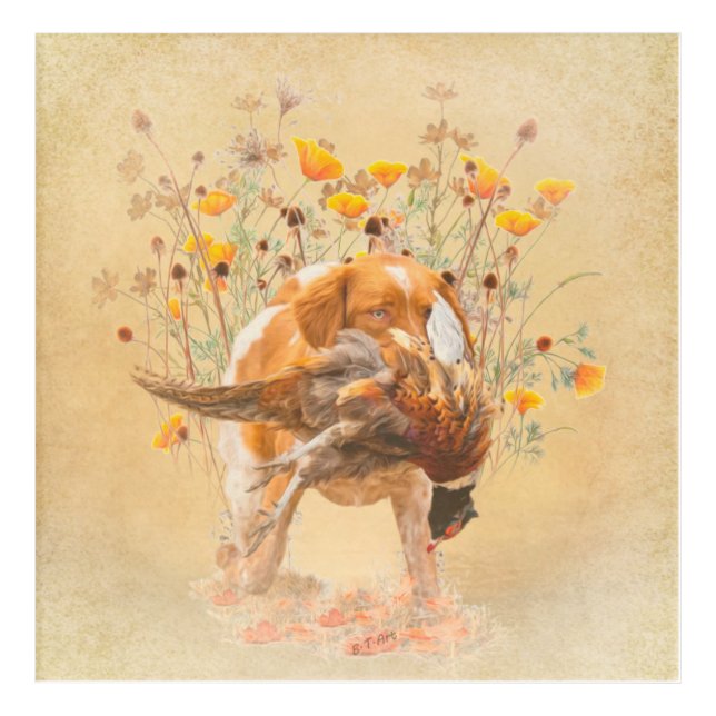 Brittany Spaniel, Hunting Pheasant Coffee Mug T-Sh Acrylic Print (Front)