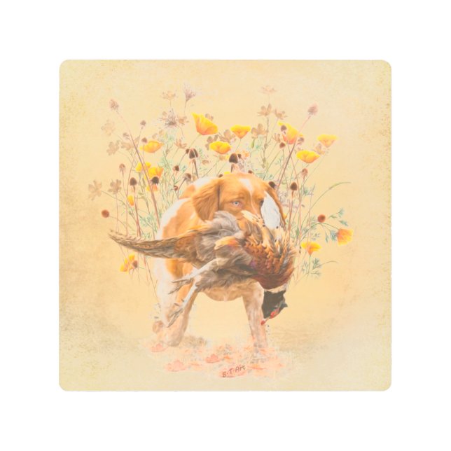Brittany Spaniel, Hunting Pheasant Coffee Mug T-Sh Metal Print (Front)