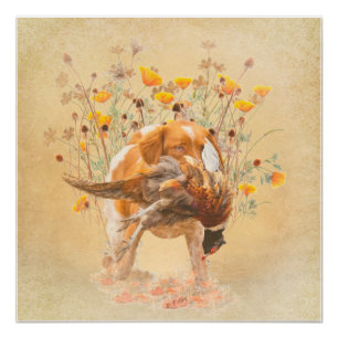 Brittany Spaniel, Hunting Pheasant Coffee Mug T-Sh Poster