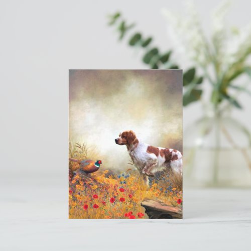 Brittany Spaniel Hunting Pheasant   Postcard