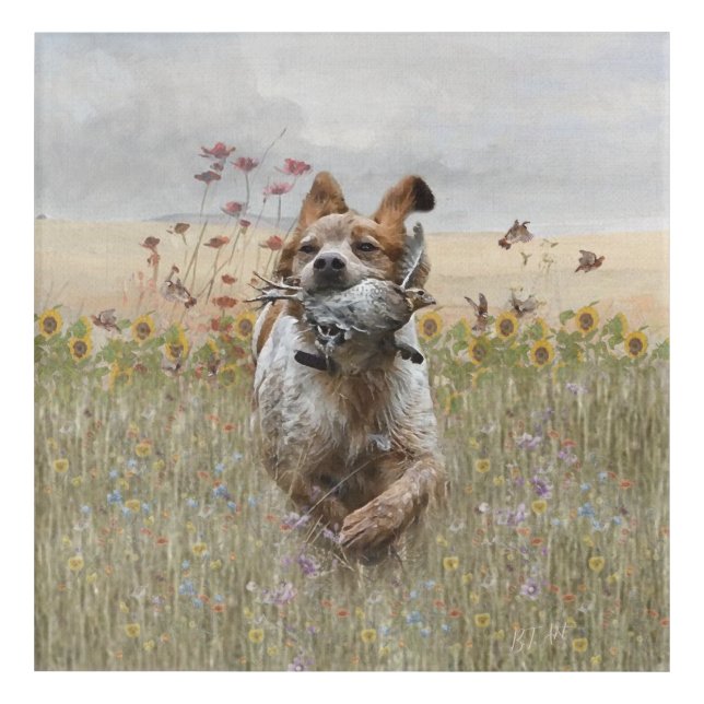 Brittany Spaniel hunting quail , Art    (Front)
