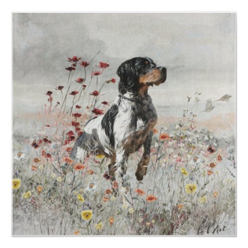 Brittany Spaniel hunts in the field Poster