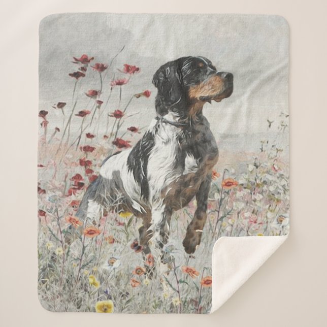 Brittany Spaniel hunts in the field     Sherpa Blanket (Front)