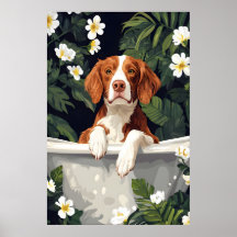 Brittany Spaniel In Bathtub Poster, Funny Dog