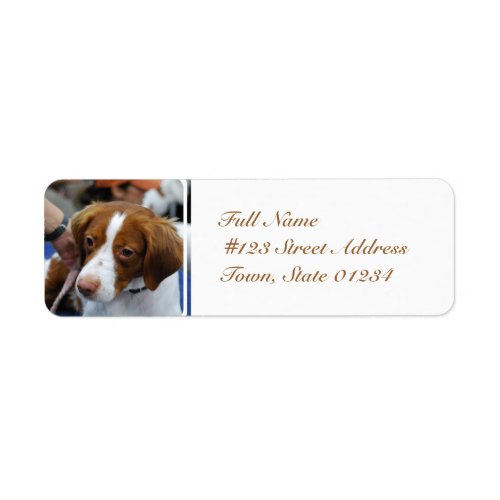 Brittany Spaniel Mailing Labels