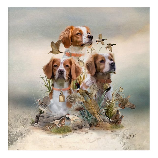 Brittany Spaniel , Passion for Birds Acrylic Print (Front)