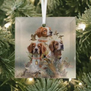 Brittany Spaniel , Passion for Birds Glass Ornament