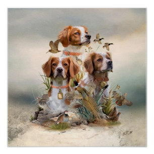 Brittany Spaniel , Passion for Birds Poster