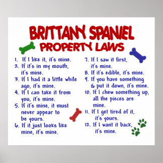 BRITTANY SPANIEL PL2 POSTER