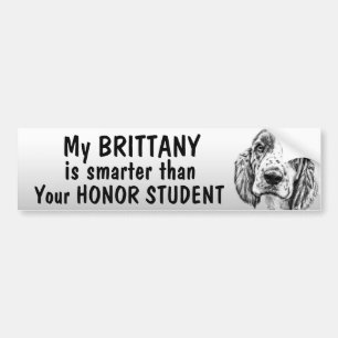 Brittany Spaniel - Smarter than student - funny Bumper Sticker