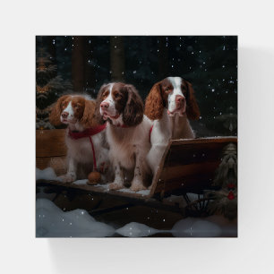 Brittany Spaniel Snowy Sleigh Christmas Decor Paperweight