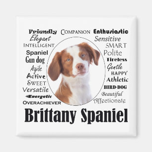 Brittany Spaniel Traits Magnet