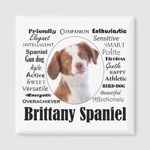 Brittany Spaniel Traits Magnet