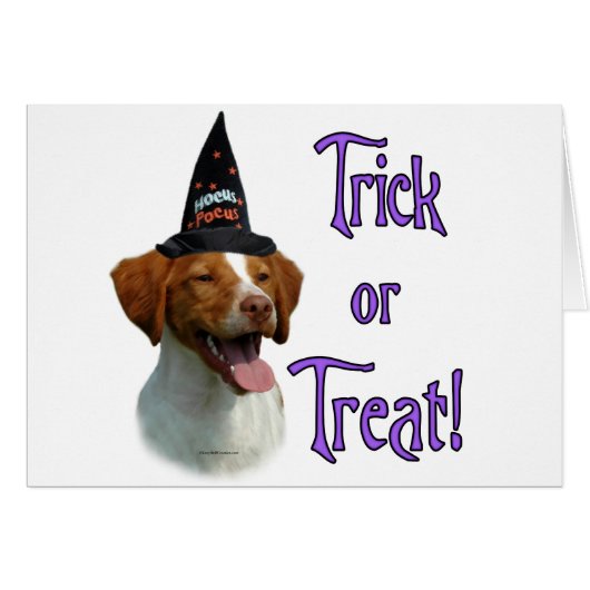 Brittany Spaniel Trick Cards (Front Horizontal)