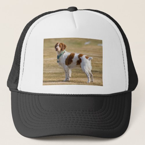 Brittany Spaniel Trucker Hat