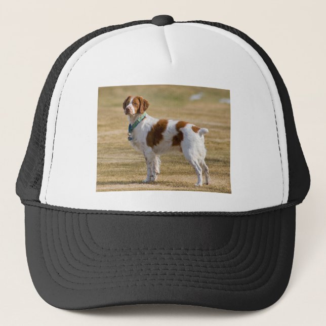 Brittany Spaniel Trucker Hat (Front)