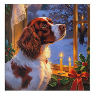 Brittany Spaniel with Christmas Lights Holiday  Acrylic Print