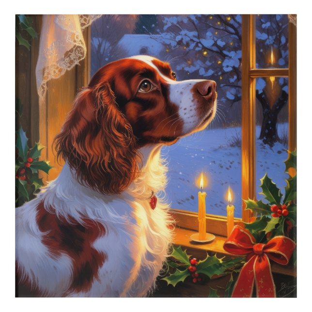 Brittany Spaniel with Christmas Lights Holiday  Acrylic Print (Front)