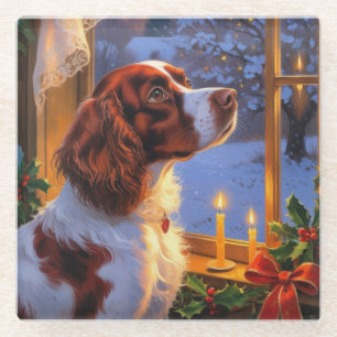 Brittany Spaniel with Christmas Lights Holiday Glass Coaster