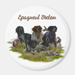  Brittany Spaniels,   Bird Hunting  Magnet