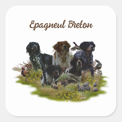  Brittany Spaniels   Bird Hunting   Square Sticker