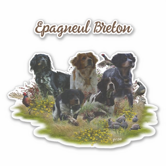  Brittany Spaniels,   Bird Hunting    Sticker (Front)