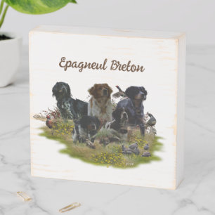 Brittany Spaniels, Bird Hunting Wooden Box Sign