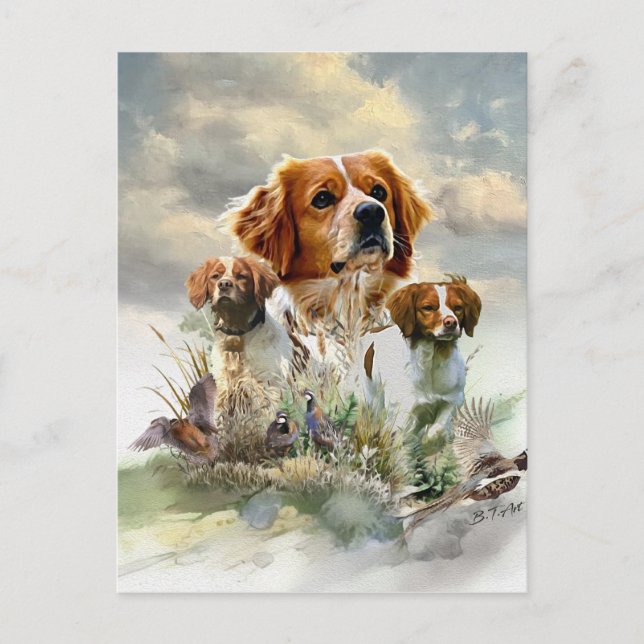 Brittany Spaniels , French Brittany , Bird dog  Postcard (Front)