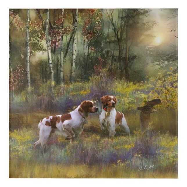 Brittany Spaniels,  Woodcock Hunting , Art  (Front)