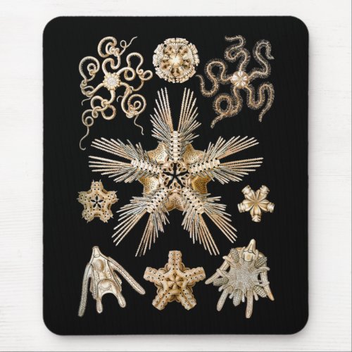 Brittle stars mouse pad