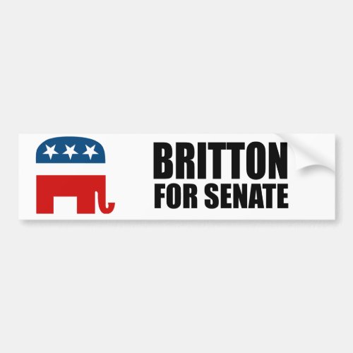 BRITTON 2010 BUMPER STICKER