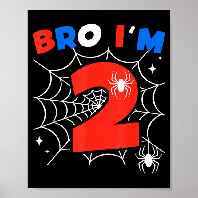 Bro I'm 2 Sder Web Theme 2nd Birthday Party Two Ye Poster (Front)
