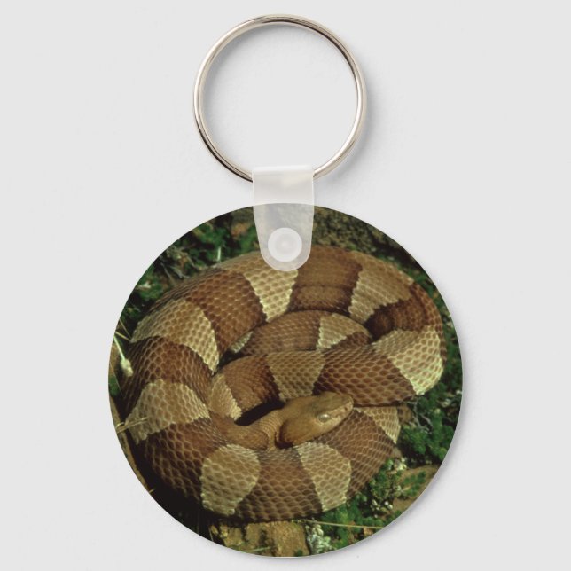 broad-banded copperhead snake keychain (Front)