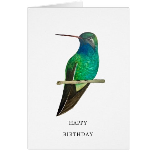Broad_billed Hummingbird Birthday Card