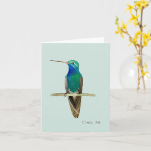 Broad-billed Hummingbird Card