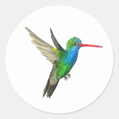 Broad_billed Hummingbird Classic Round Sticker