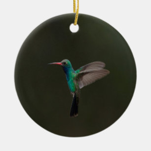 Broad-billed hummingbird in flight ceramic ornament