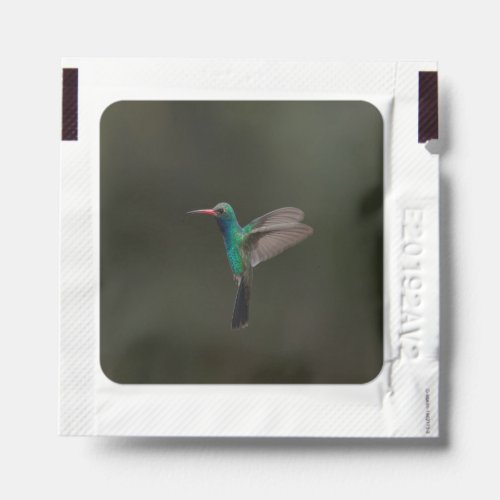 Broad_Billed Hummingbird in flight Hand Sanitizer Packet