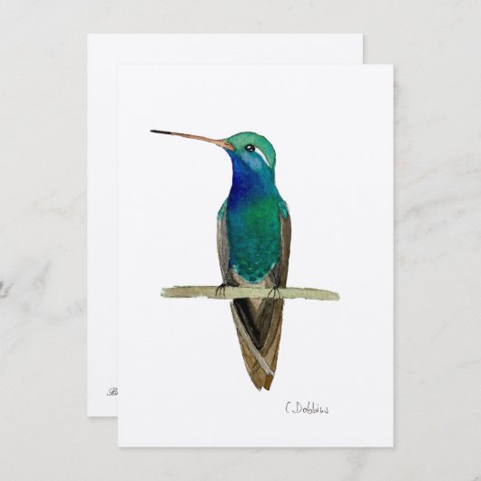 Broad-billed Hummingbird On A Branch (Front/Back)