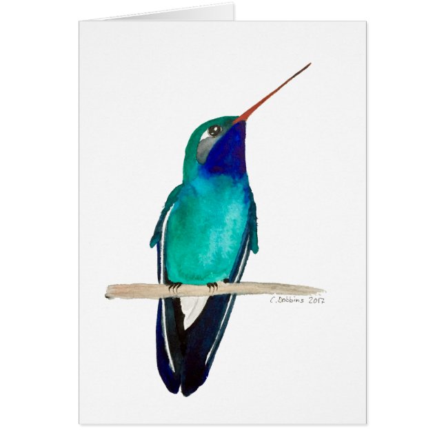 Broad-billed Hummingbird Perched Cards (Front)