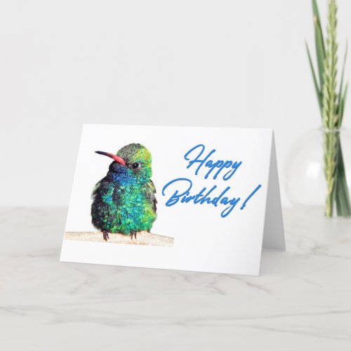 Broad_billed Hummingbird Photo Happy Birthday Card
