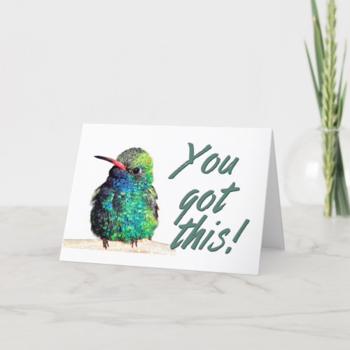 Broad_billed Hummingbird Photo You Got This Card