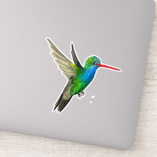 Broad_Billed Hummingbird Watercolor Painting Art Sticker