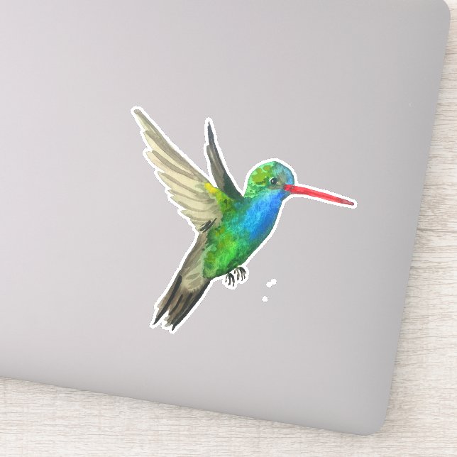 Broad-Billed Hummingbird Watercolor Painting Art Sticker (Detail)