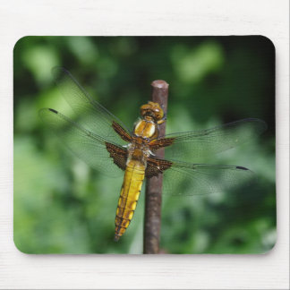 Broad-bodied Chaser Mouse Pad